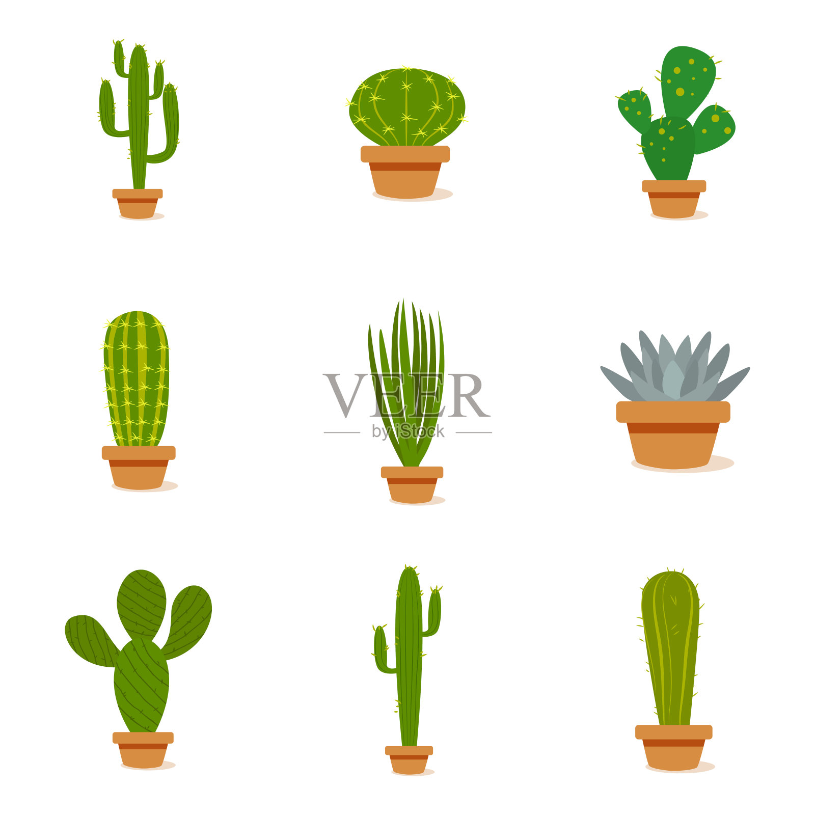 盆栽中的仙人掌设计元素图片