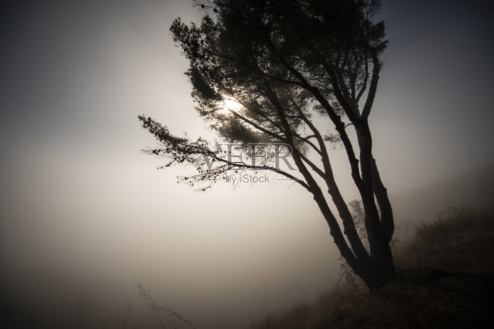 浓雾笼罩着加州马里布的圣莫尼卡山照片摄影图片