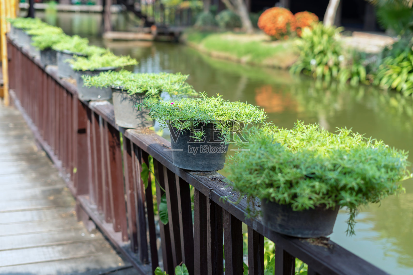 带有盆栽的木桥通道，通往古老的木屋照片摄影图片