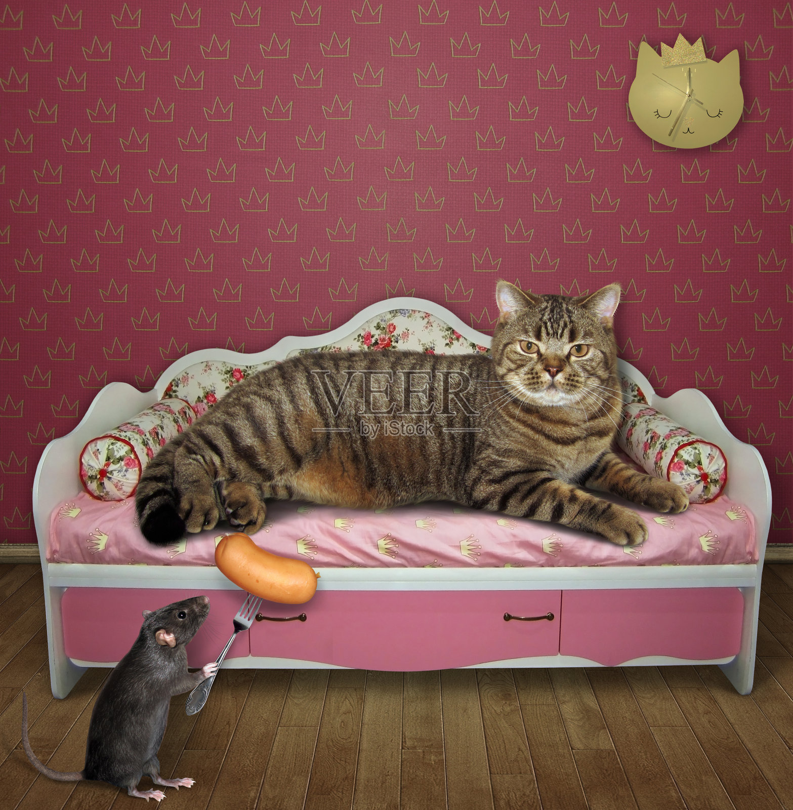 老鼠在粉红色的沙发上款待猫照片摄影图片