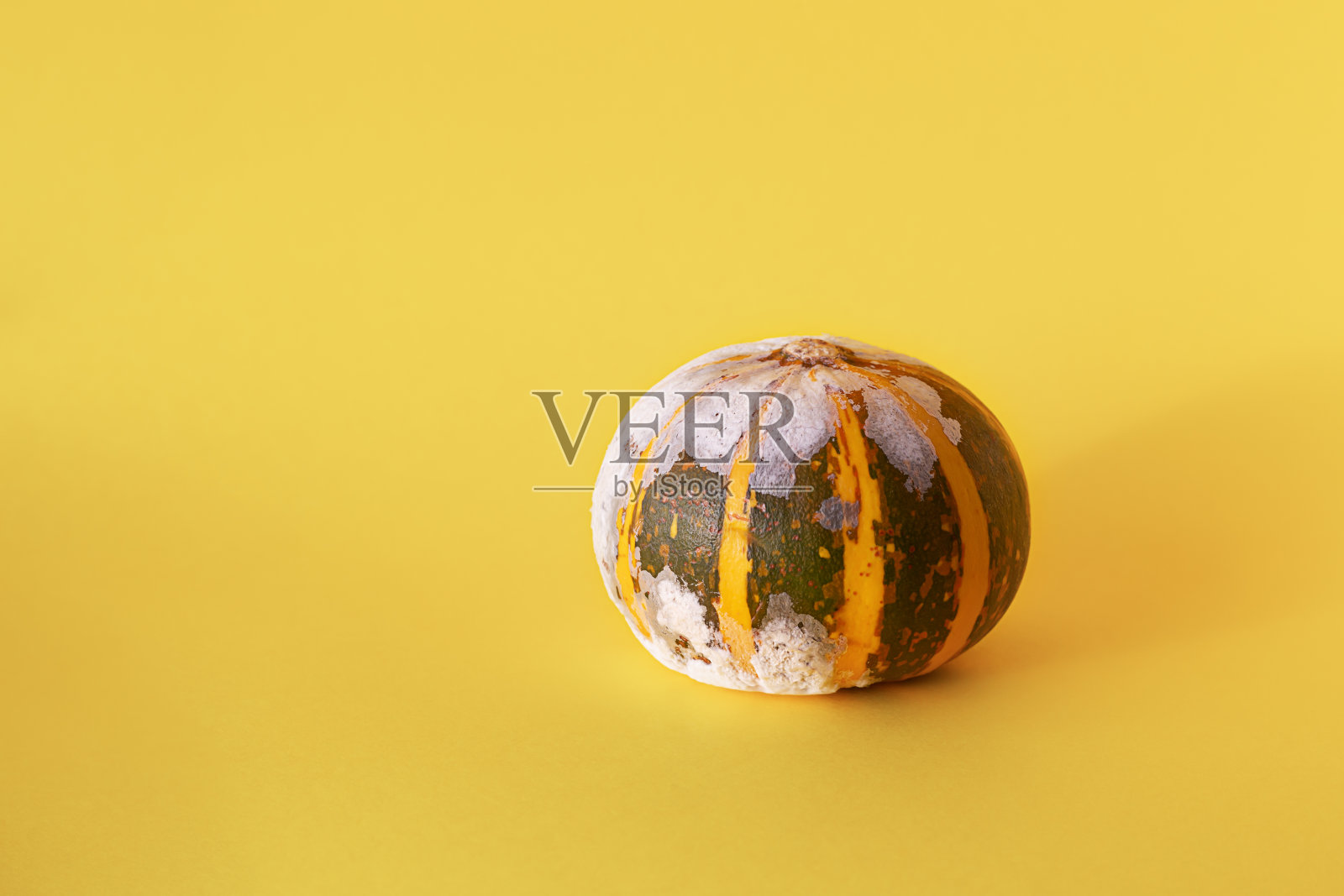 发霉的南瓜在黄色背景与复制空间。丑陋的食物。前视图照片摄影图片