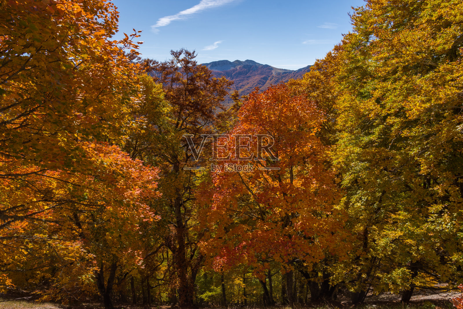 阿布鲁佐、拉齐奥和莫利塞国家公园的山脉。灌木丛。秋天的一瞥。照片摄影图片