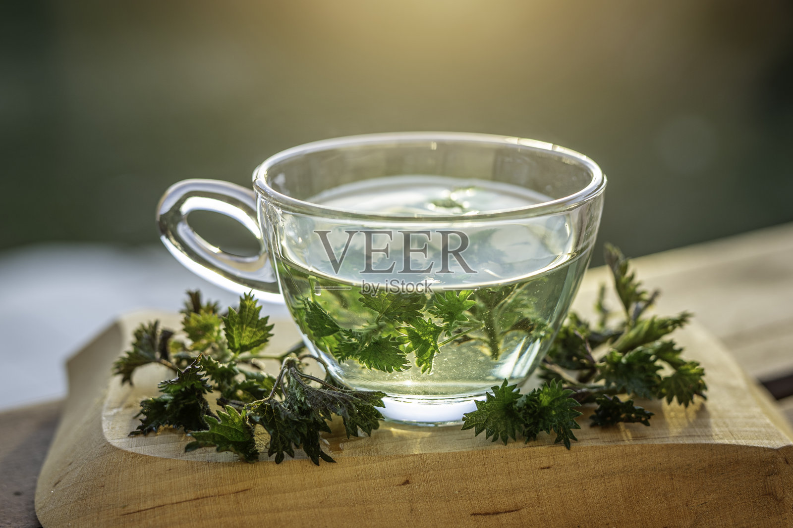 新鲜热刺荨麻茶在玻璃杯户外照片摄影图片