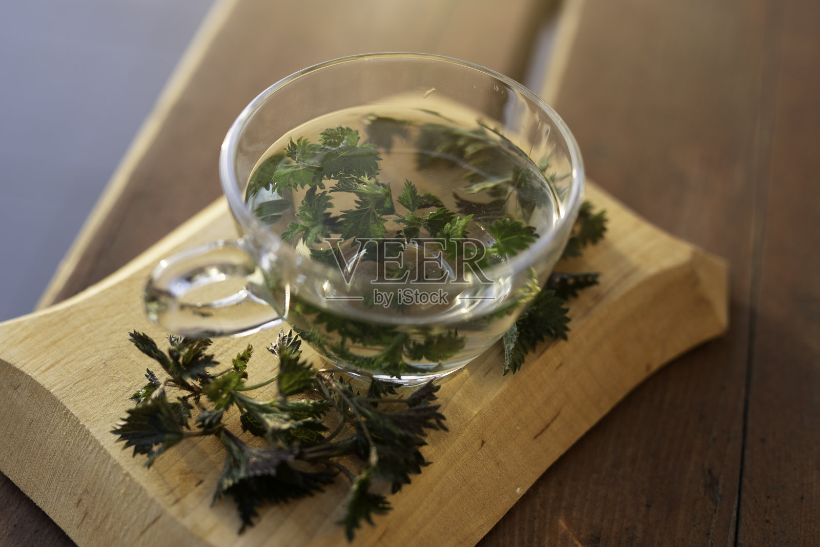 新鲜热刺荨麻茶在玻璃杯户外照片摄影图片