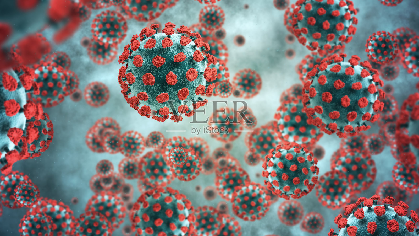 细菌特写镜头照片摄影图片