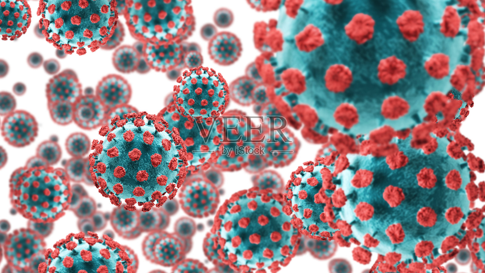 细菌特写镜头照片摄影图片