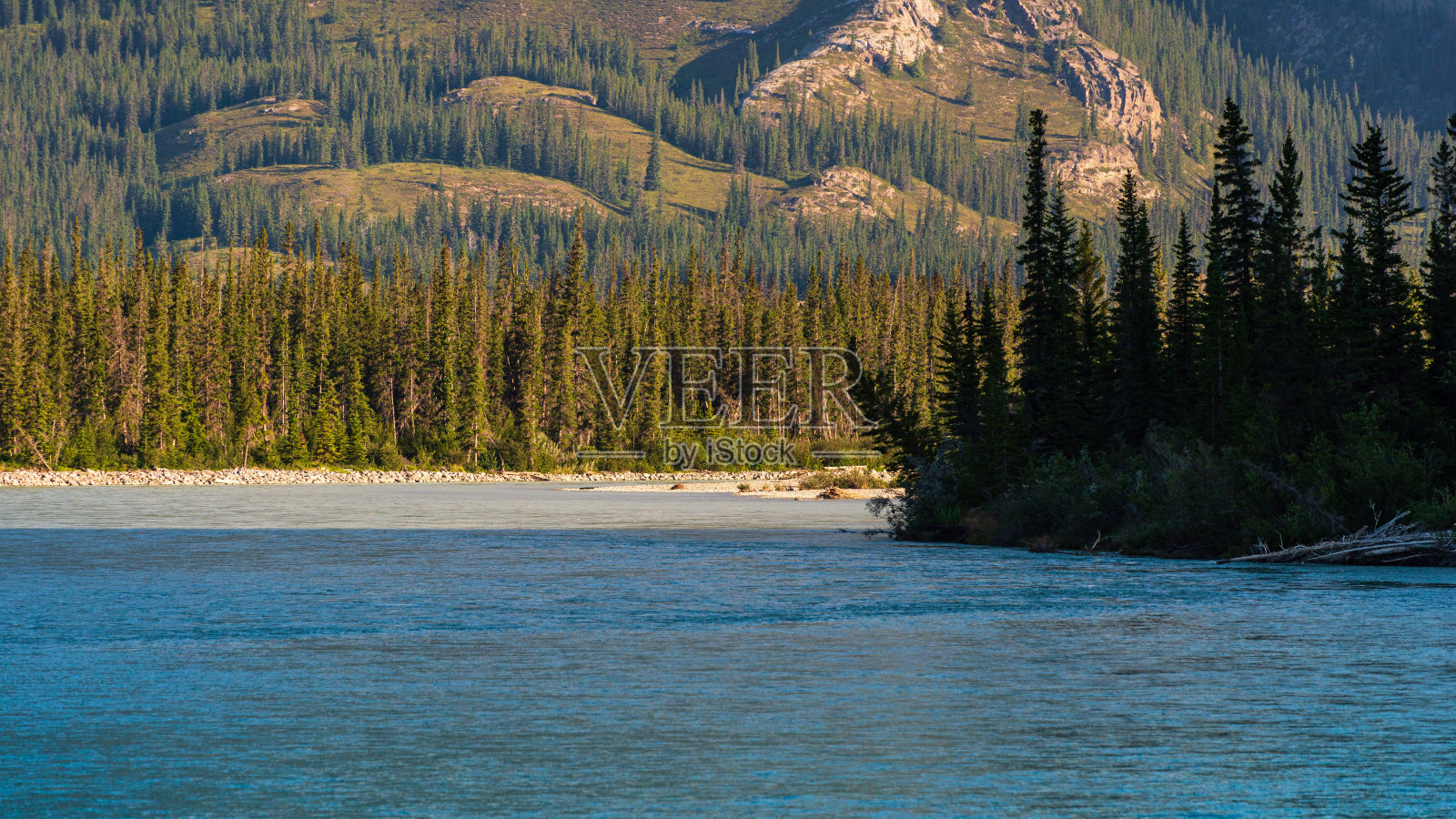 加拿大艾伯塔省黄头高速公路上的风景照片摄影图片
