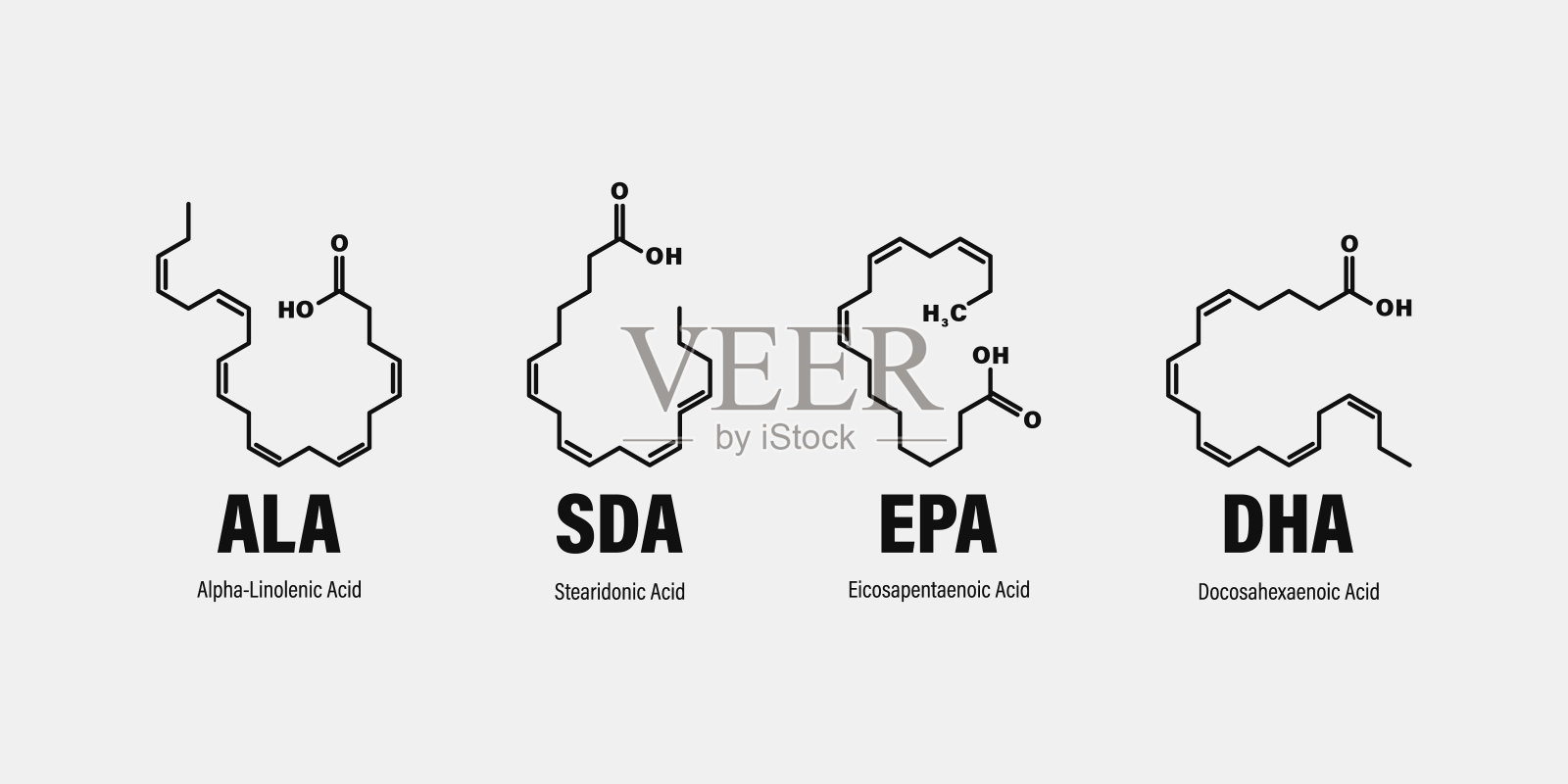 -3脂肪酸的化学结构。硬脂酸(SDA)，二十碳五烯酸(EPA)，二十二碳六烯酸(DHA)和α -亚麻酸(ALA)。插画图片素材