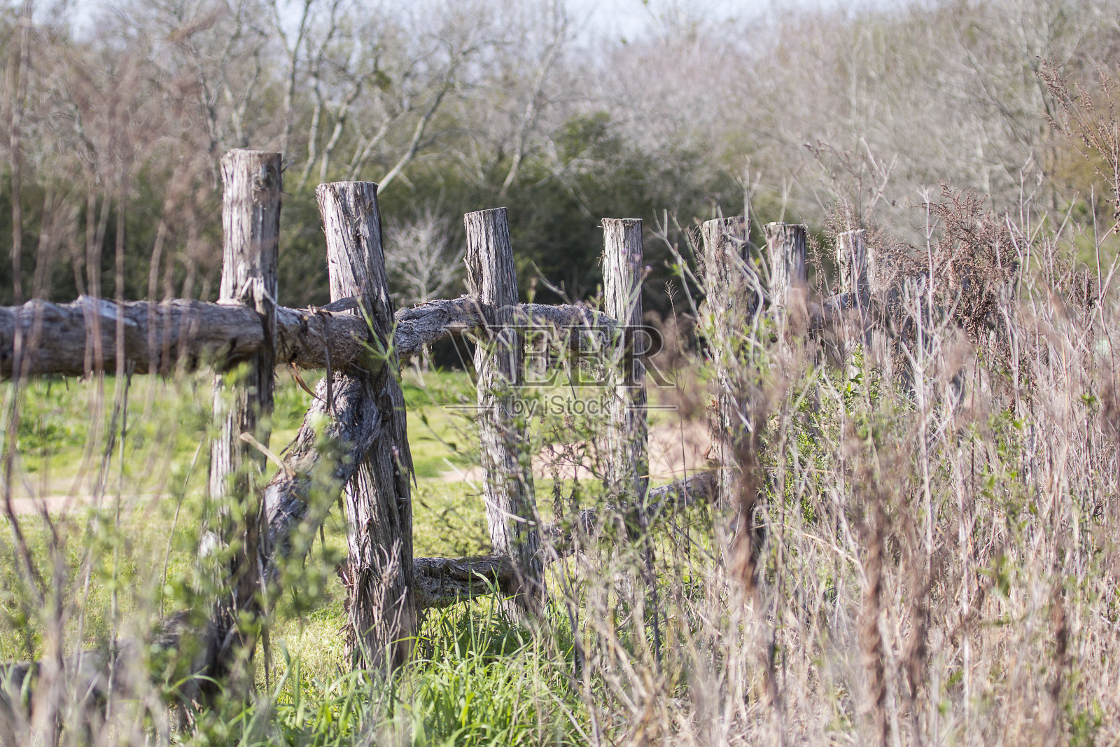 栅栏照片摄影图片