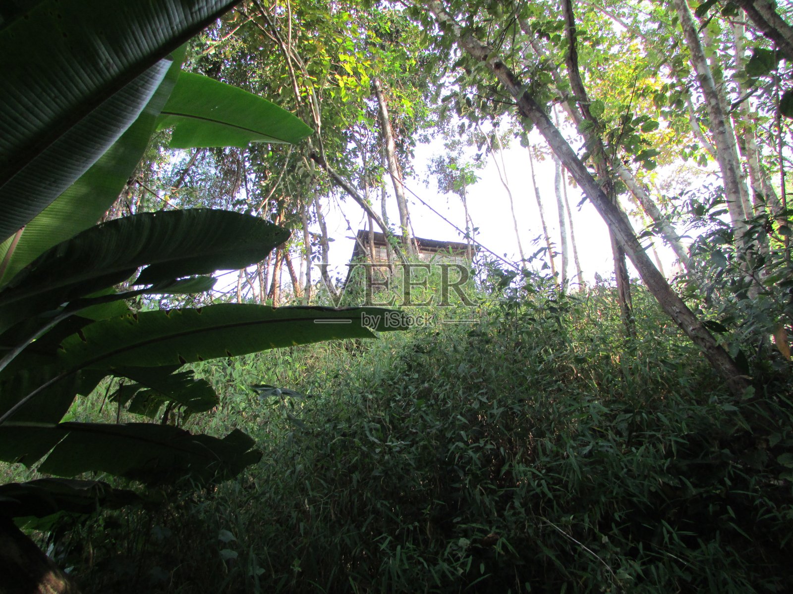 泰国清岛野生动物保护区及国家公园照片摄影图片