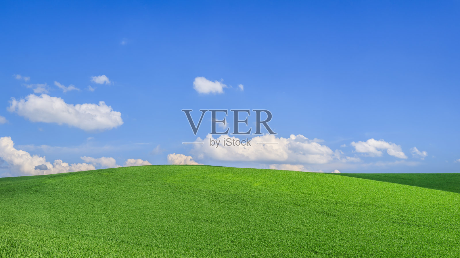 全景春天景观，绿色的田野，蓝色的天空照片摄影图片