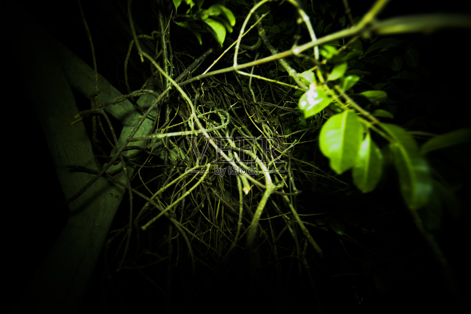 废弃场所照片摄影图片