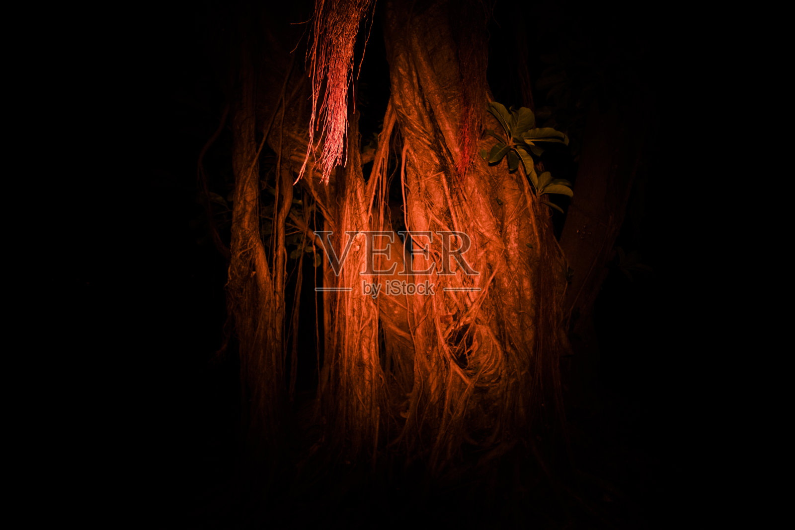 废弃场所照片摄影图片