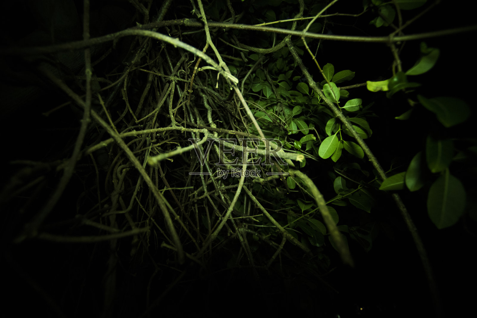 废弃场所照片摄影图片