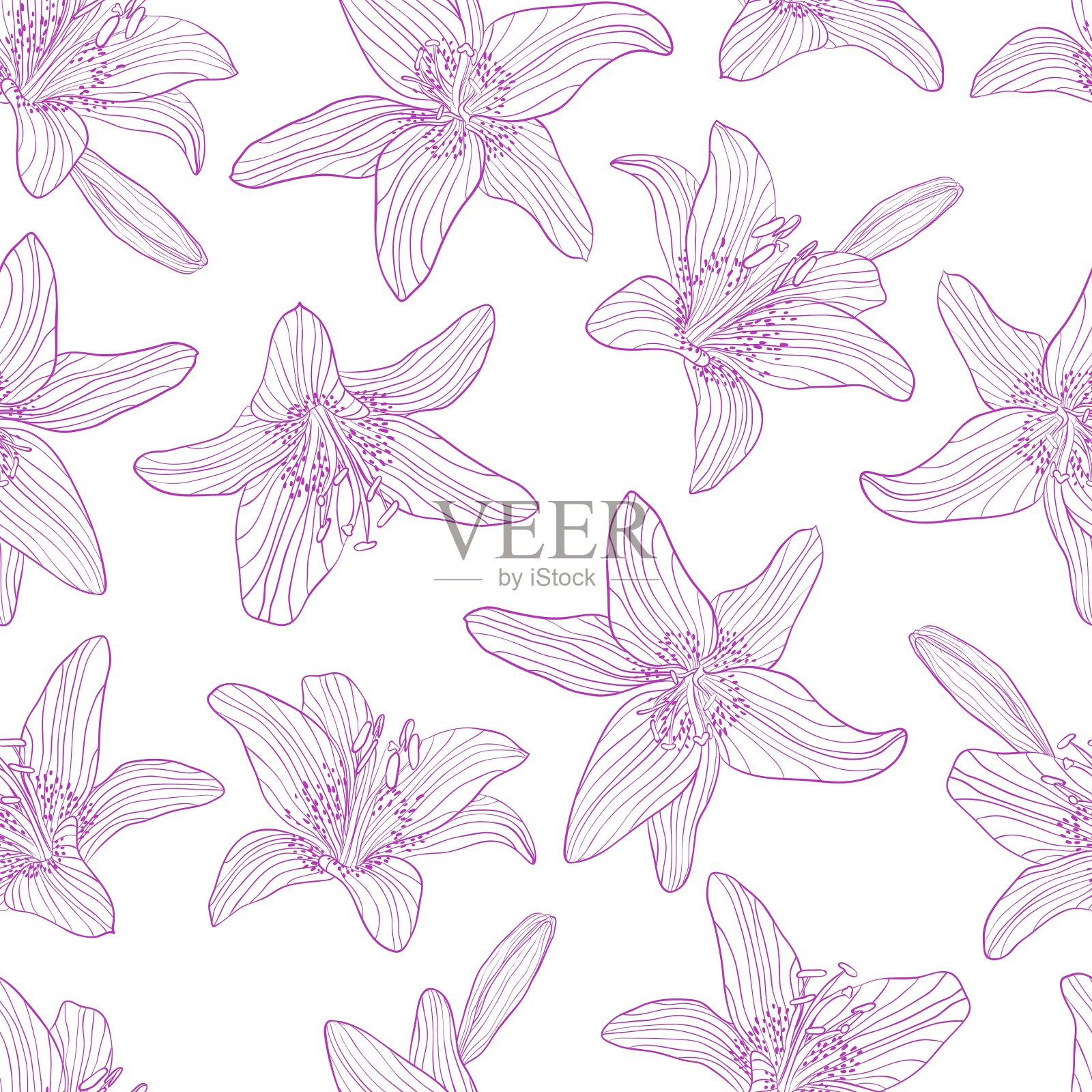 无缝图案绘制百合花插画图片素材