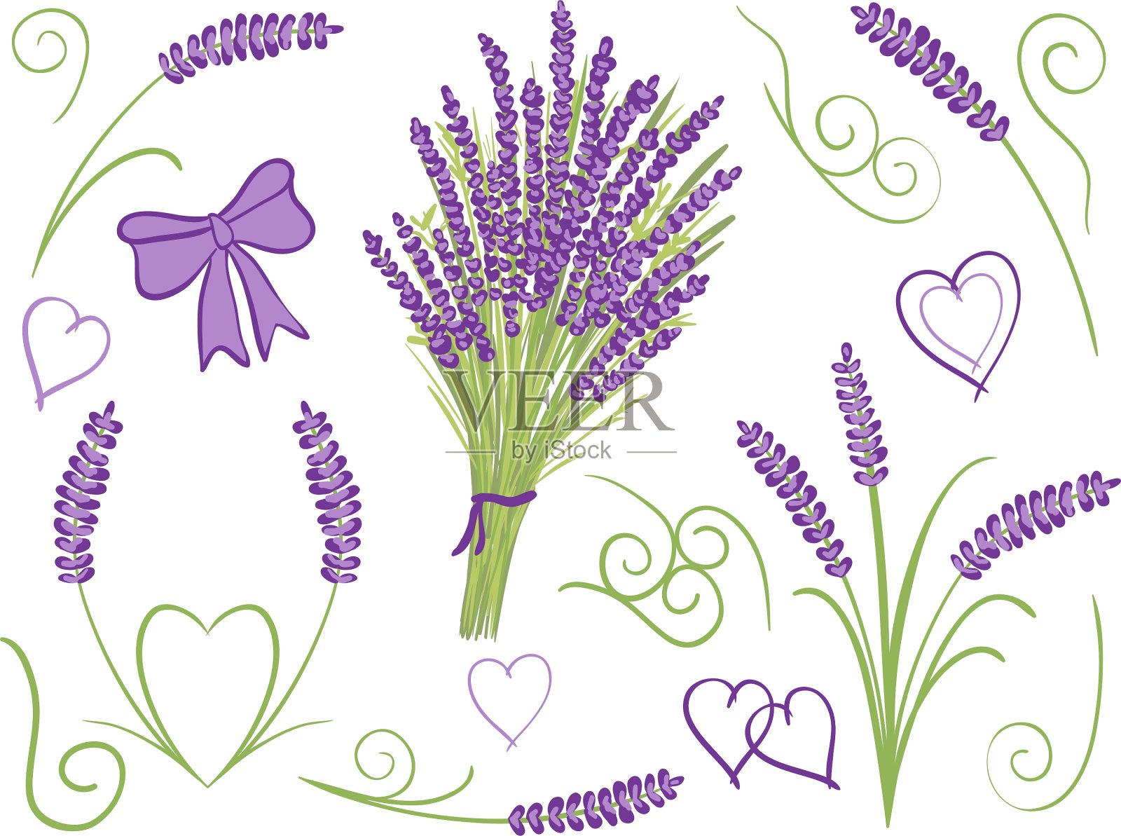 薰衣草的设计元素插画图片素材