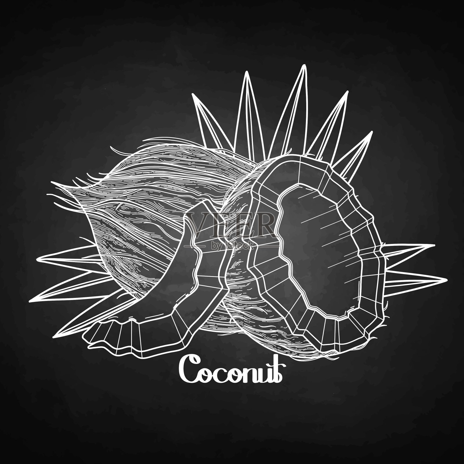 平面椰子设计插画图片素材