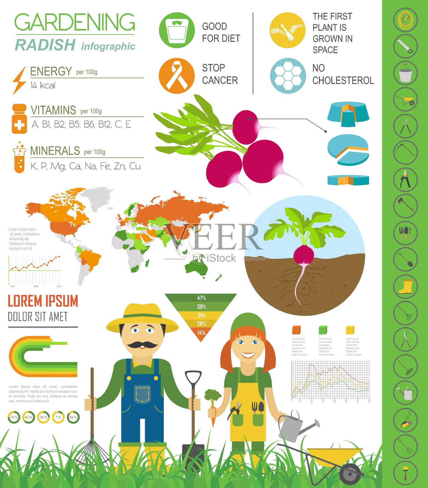 园艺信息图表新30设计模板素材