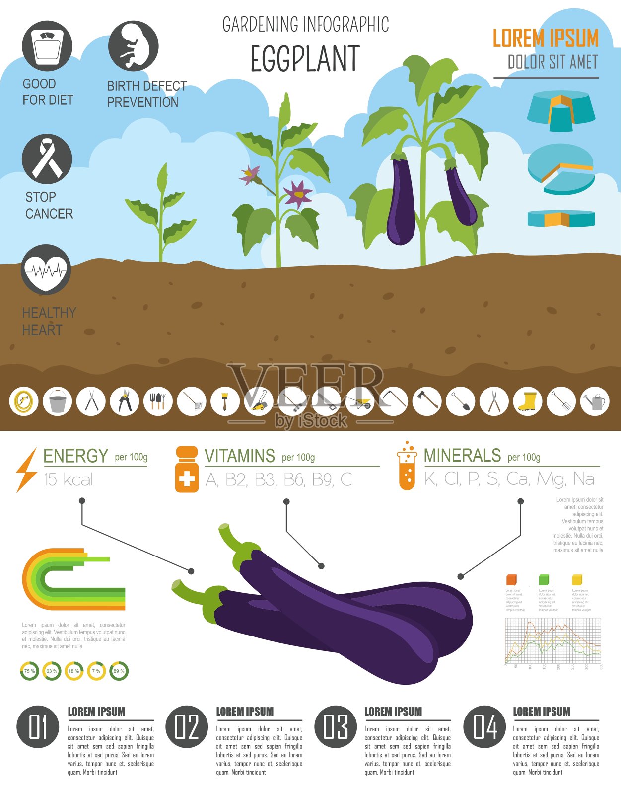 园艺工作耕作信息图茄子设计模板素材