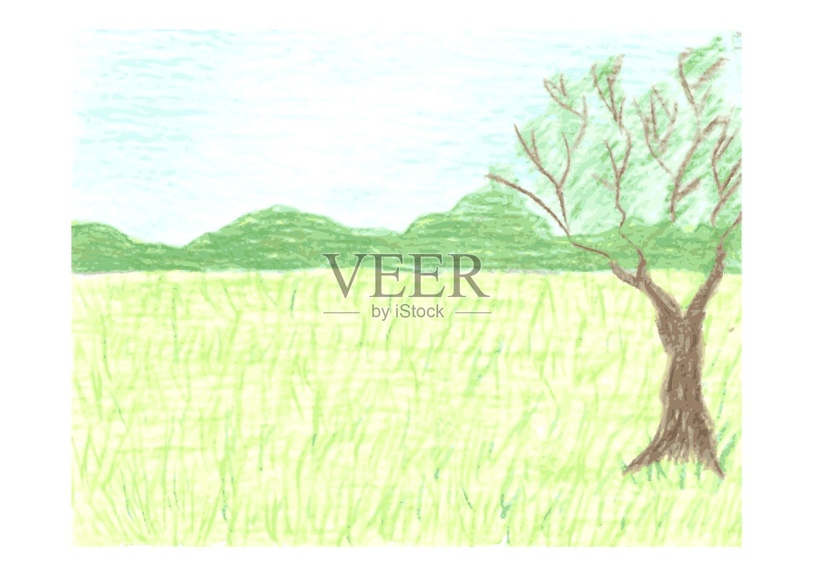 美丽的风景与夏季森林天空绿色插画图片素材