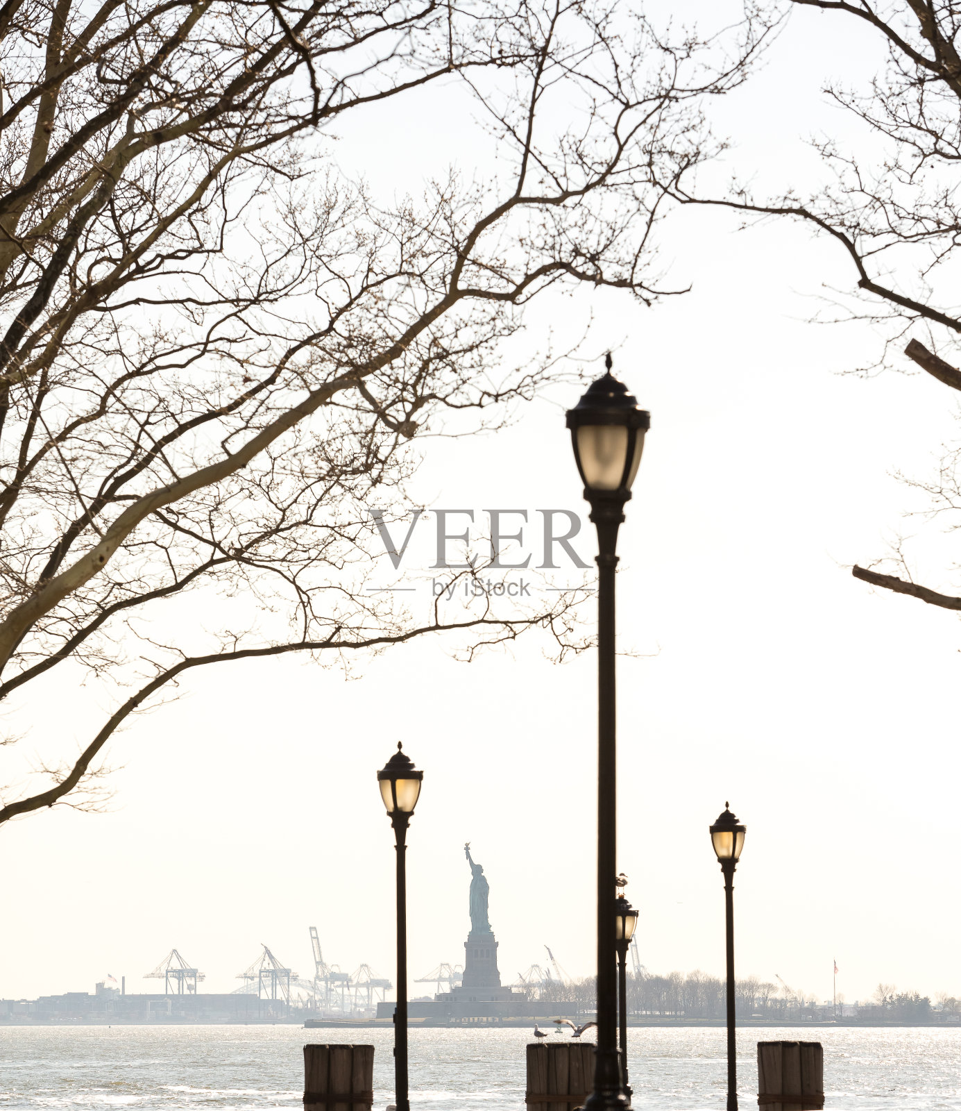 从炮台公园观看自由女神像，以纽约港为背景。照片摄影图片