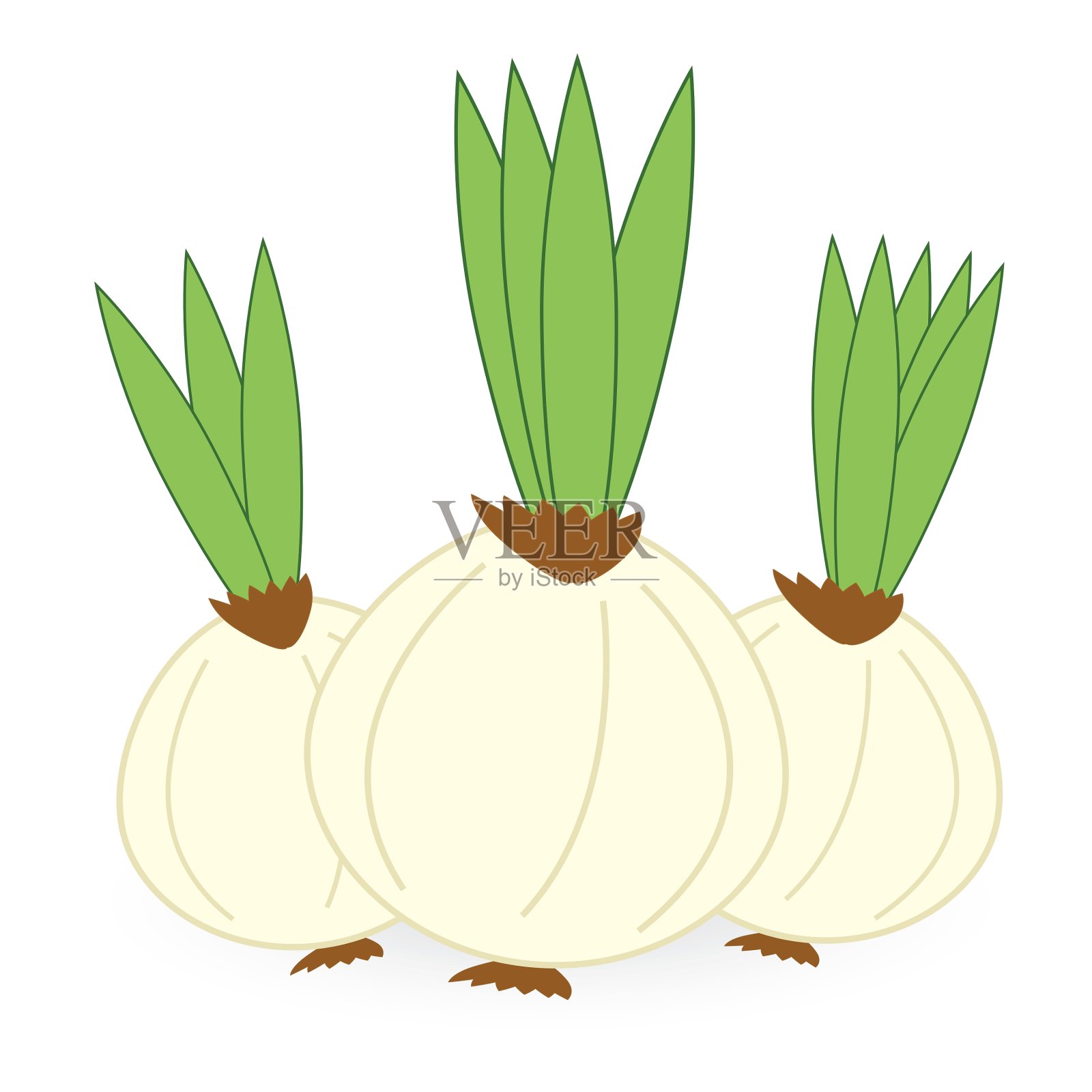 洋葱孤立在白色背景上设计元素图片