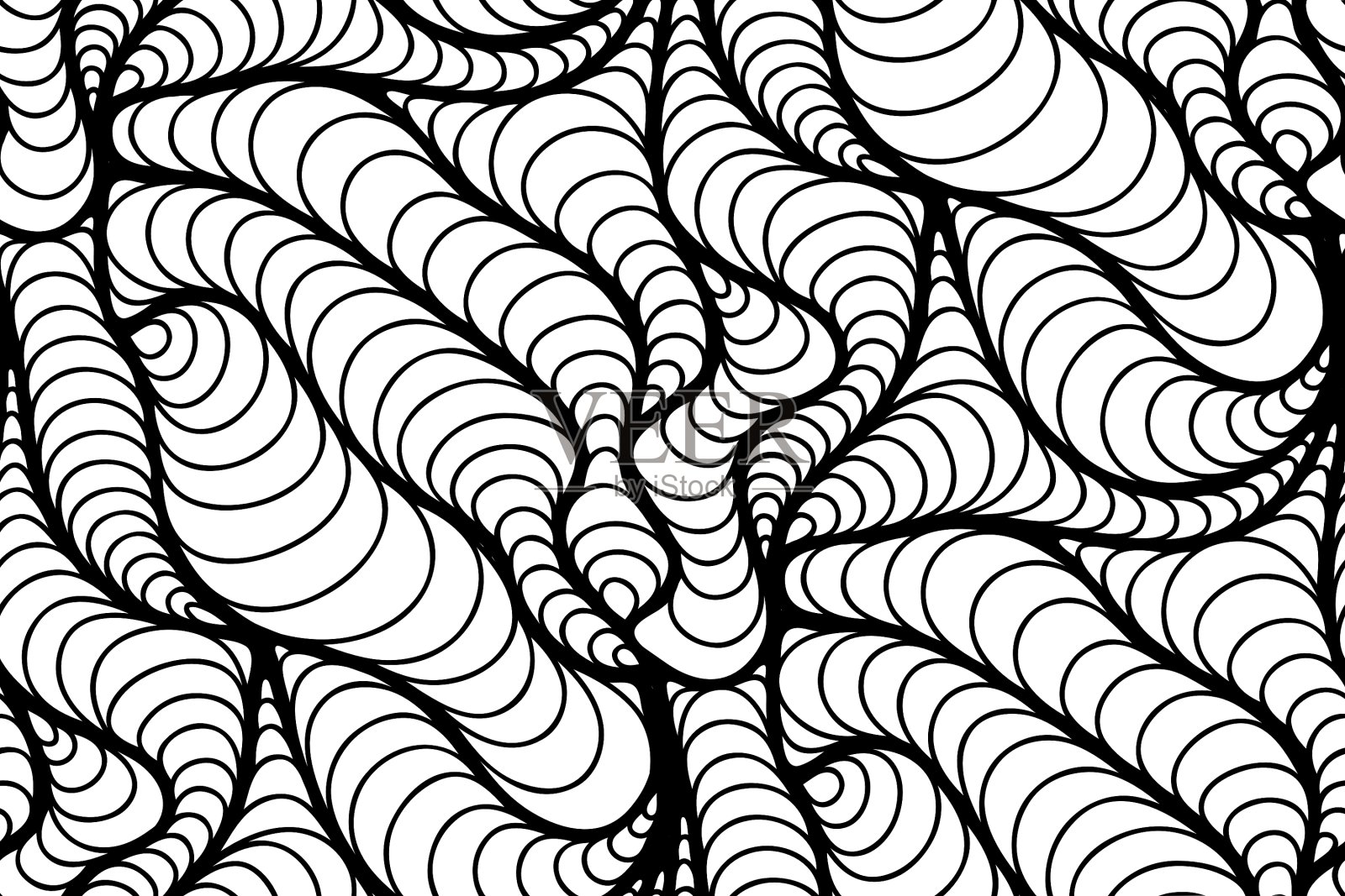 绘制线条的花卉背景插画图片素材