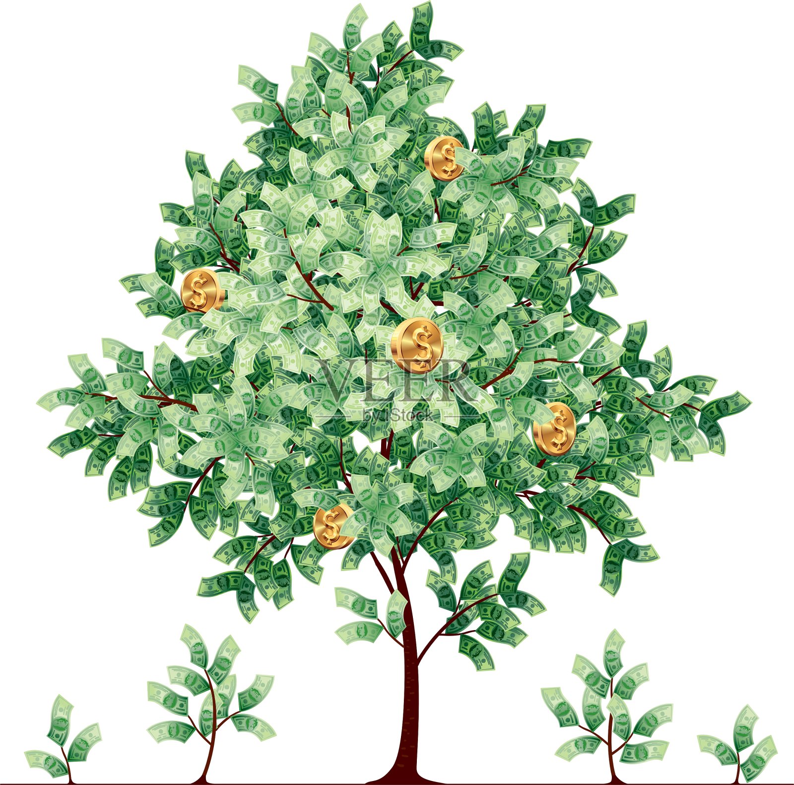 美元树插画图片素材