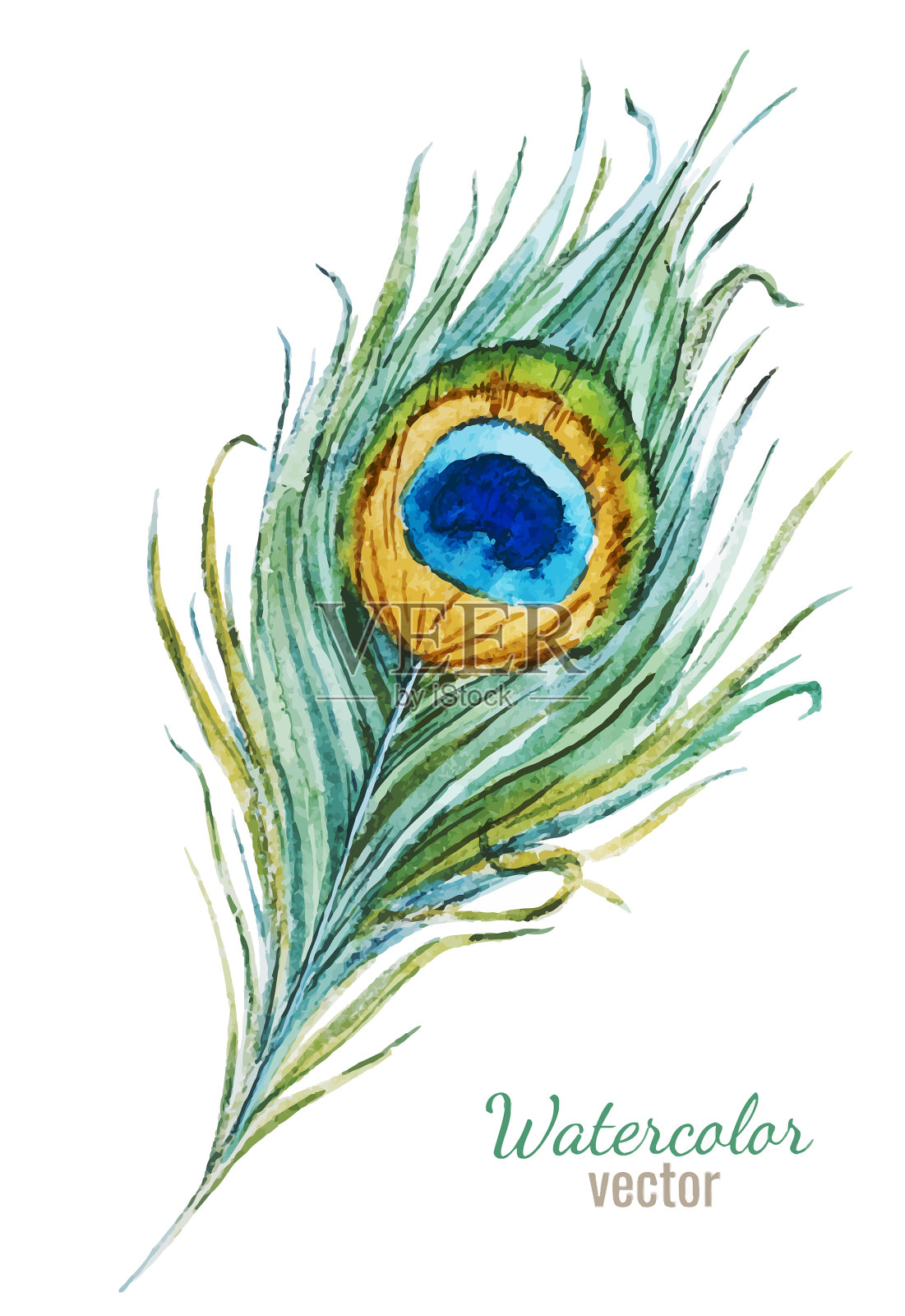 漂亮的羽毛设计元素图片