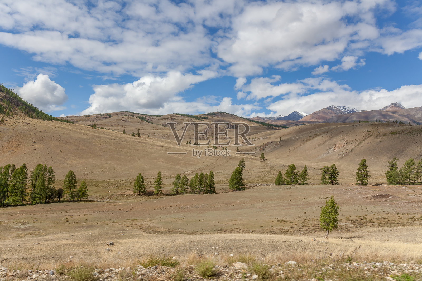 阿尔泰山脉位于中亚和东亚，是俄罗斯、中国、蒙古和哈萨克斯坦的交界地，也是鄂毕河和额尔齐斯河的源头。照片摄影图片