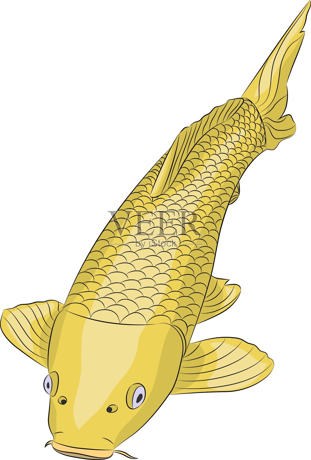 鲤鱼鱼设计元素图片