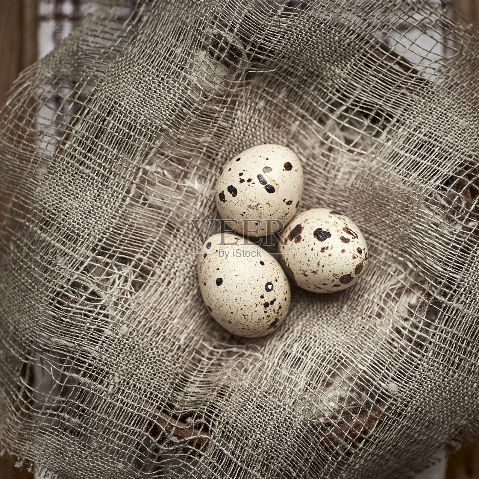 粗麻布上的新鲜鹌鹑蛋放在木桌上。照片摄影图片