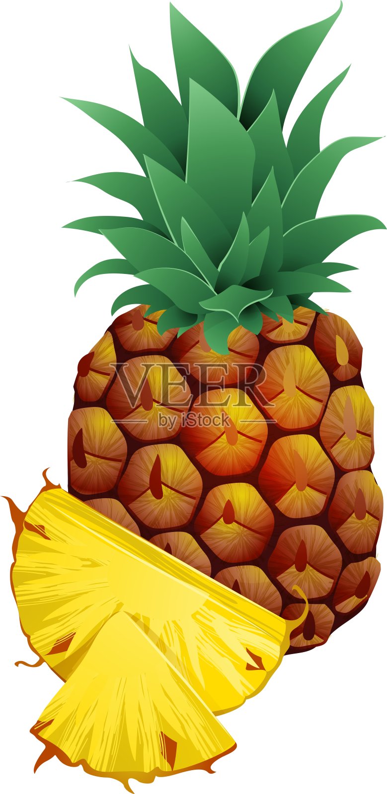 菠萝与切片孤立在白色设计元素图片