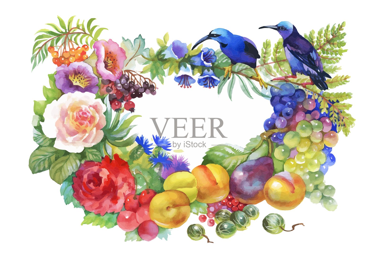 水彩野生珍奇鸟类上花设计元素图片