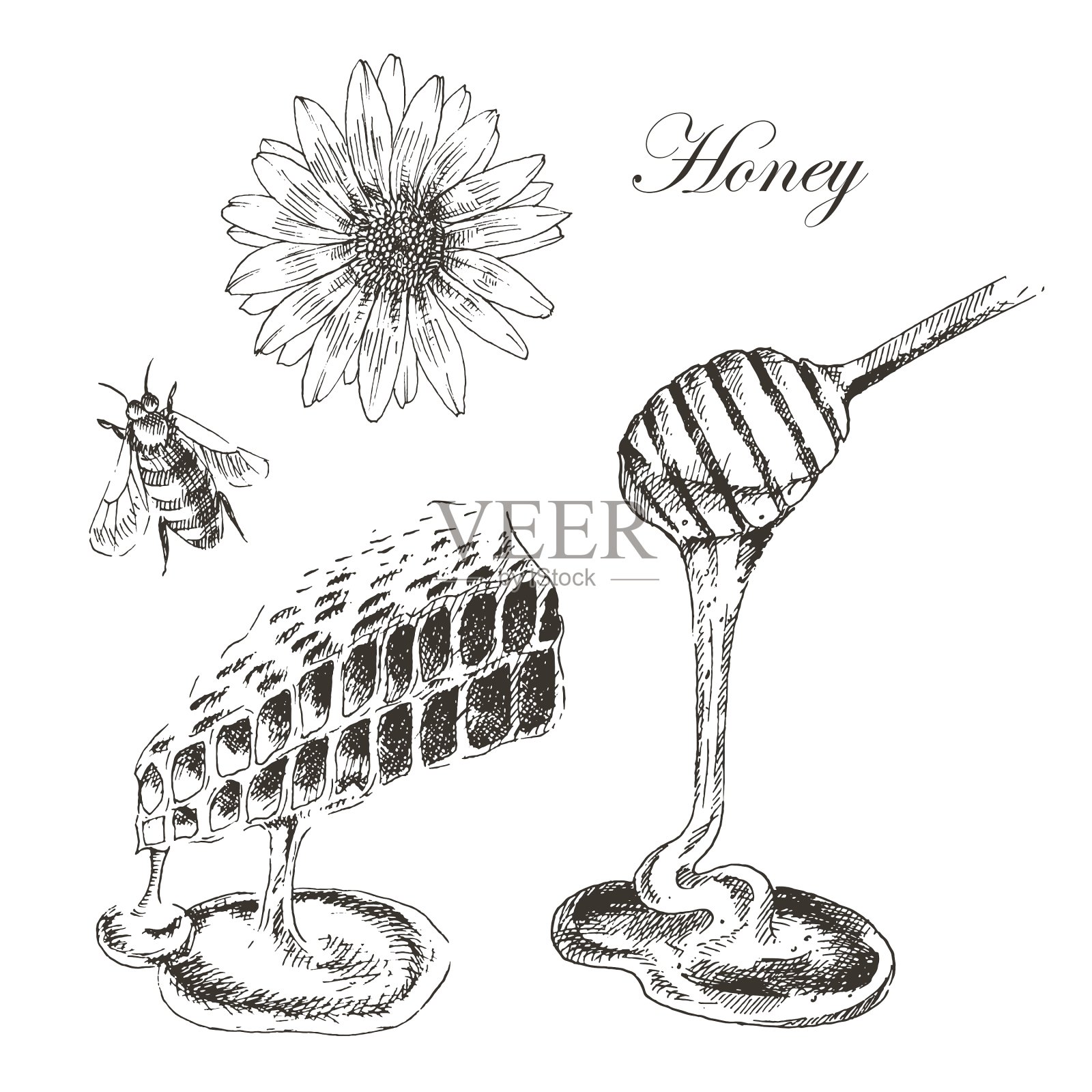 蜂蜜，蜂窝，蜜棒蜜蜂设计元素图片