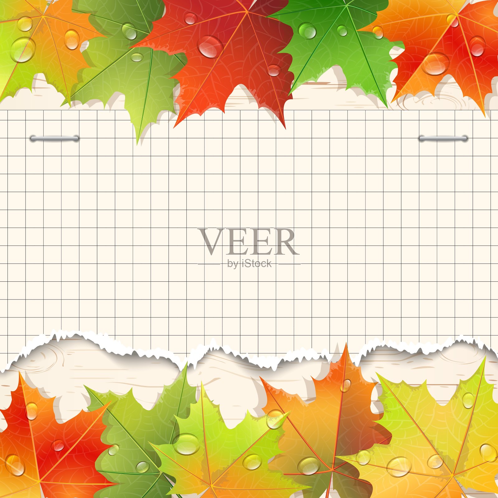 撕破的纸和秋天的枫叶设计模板素材