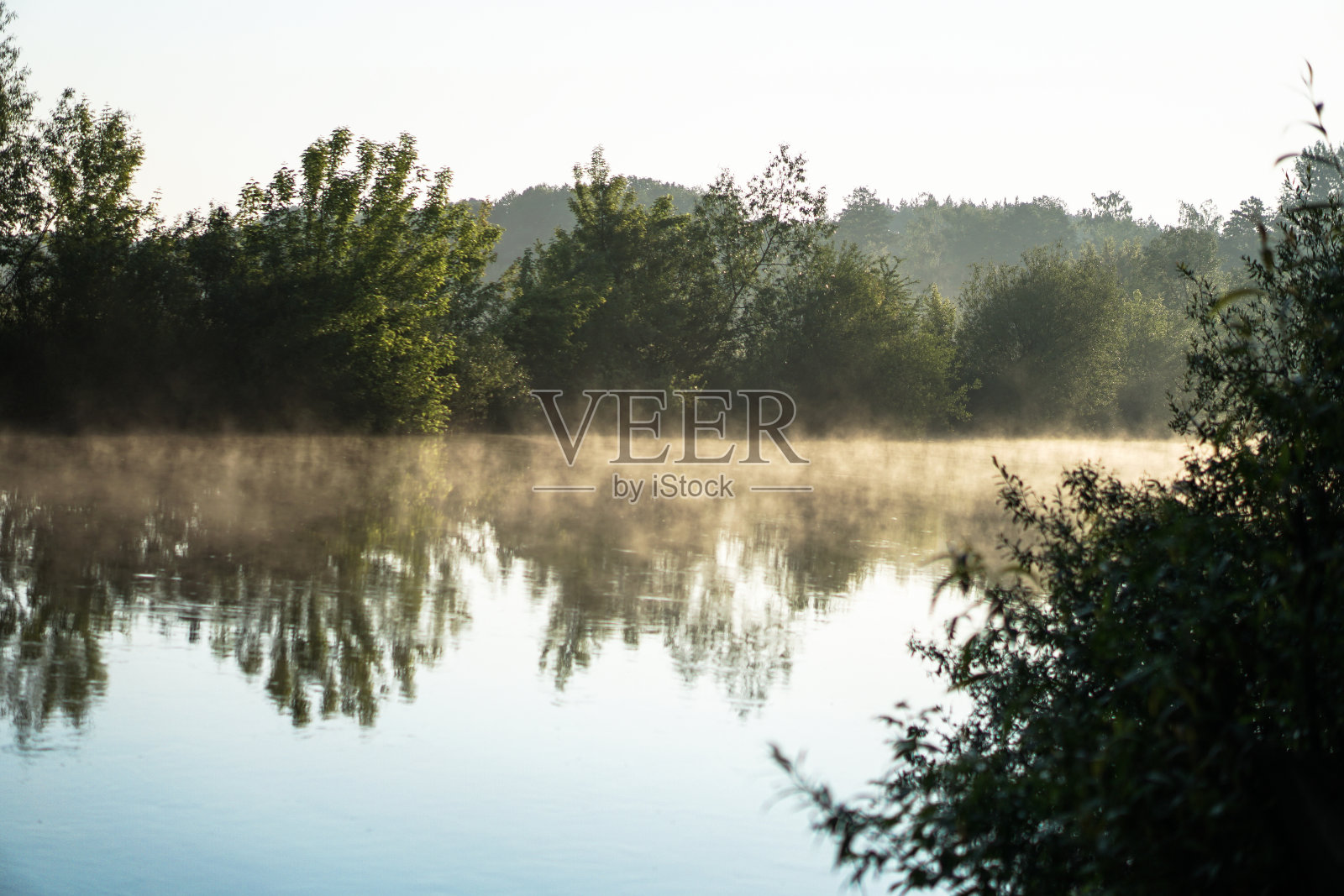 美丽的早晨河，一个湖在轻雾和光线的太阳。树木和灌木丛在傍晚闪闪发光。原生态设计背景。照片摄影图片