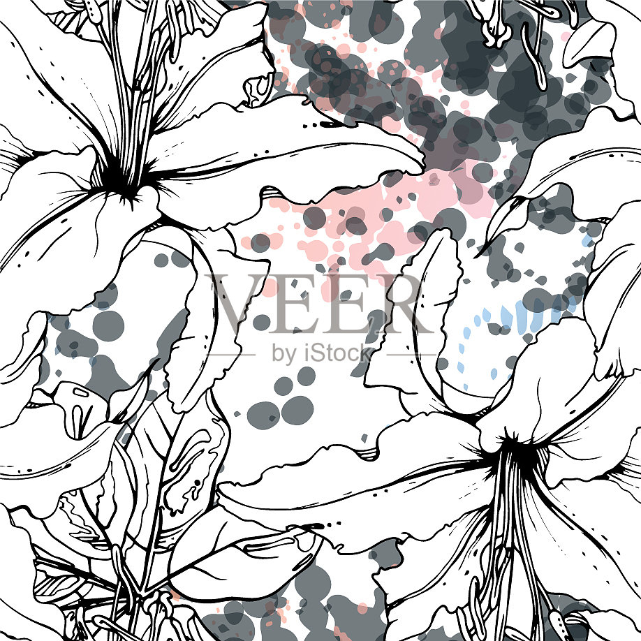 艺术热带现代黑白图形插画图片素材