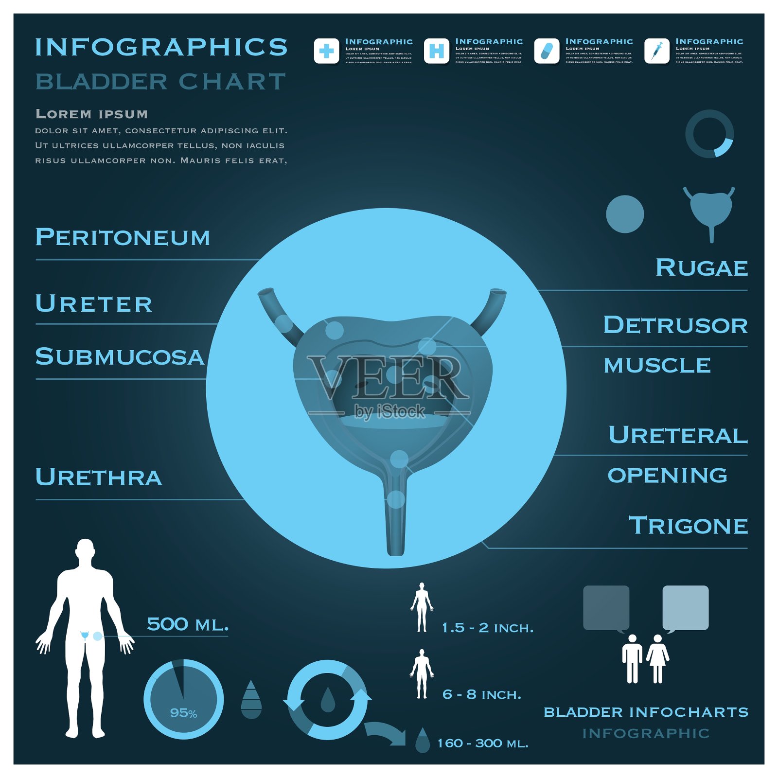 信息图表健康和医疗设计模板素材