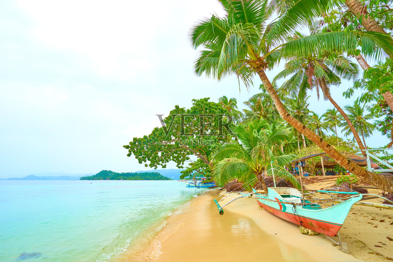 一艘渔船安详地躺在热带岛屿巴拉望的棕榈树下，菲律宾照片摄影图片