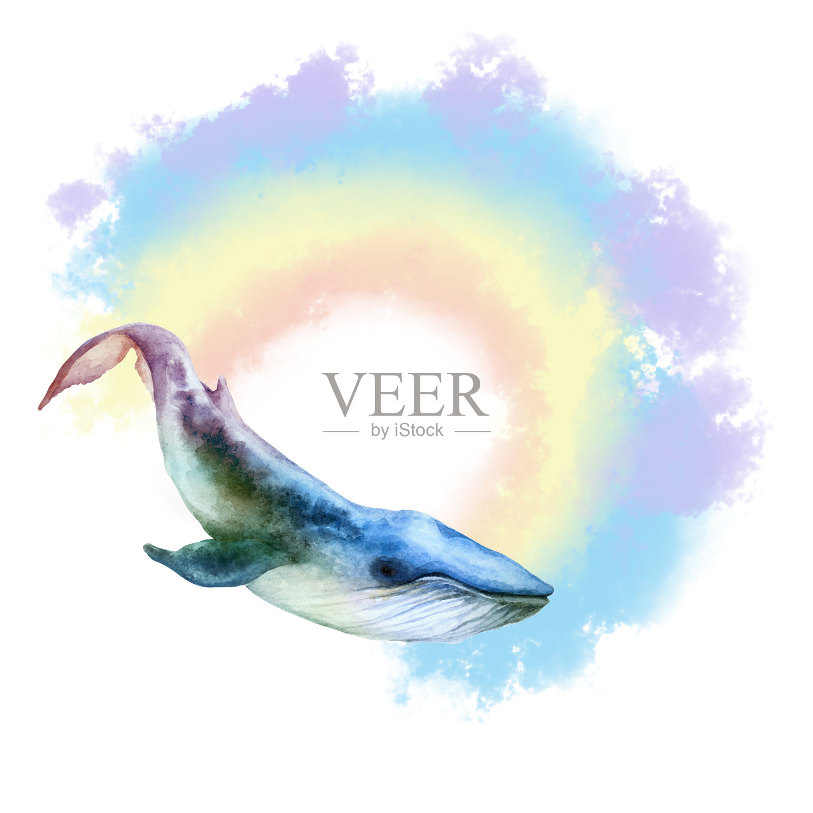 飞行的彩色蓝鲸和彩虹在白色的背景。手画水彩。设计元素图片