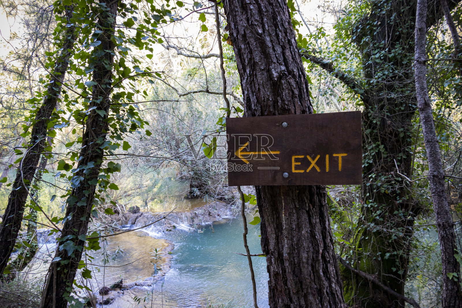 森林路上的出口标志照片摄影图片