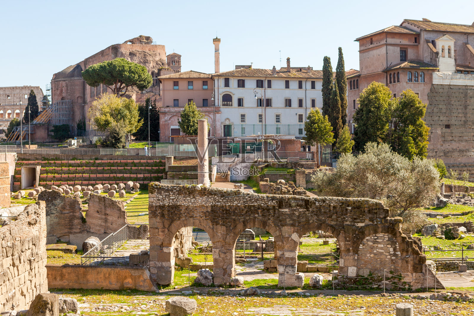 罗马论坛照片摄影图片