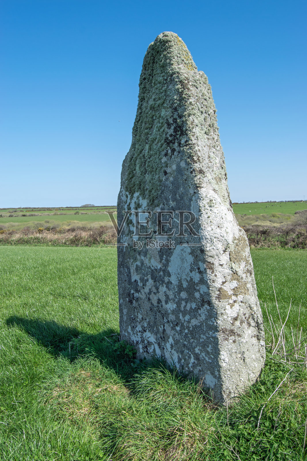 《盲目的小提琴手》，《站立的石头》照片摄影图片