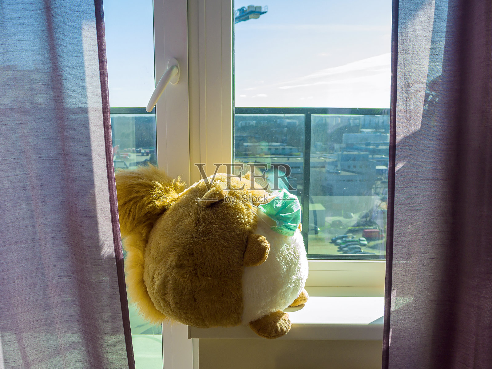 松鼠填充玩具照片摄影图片