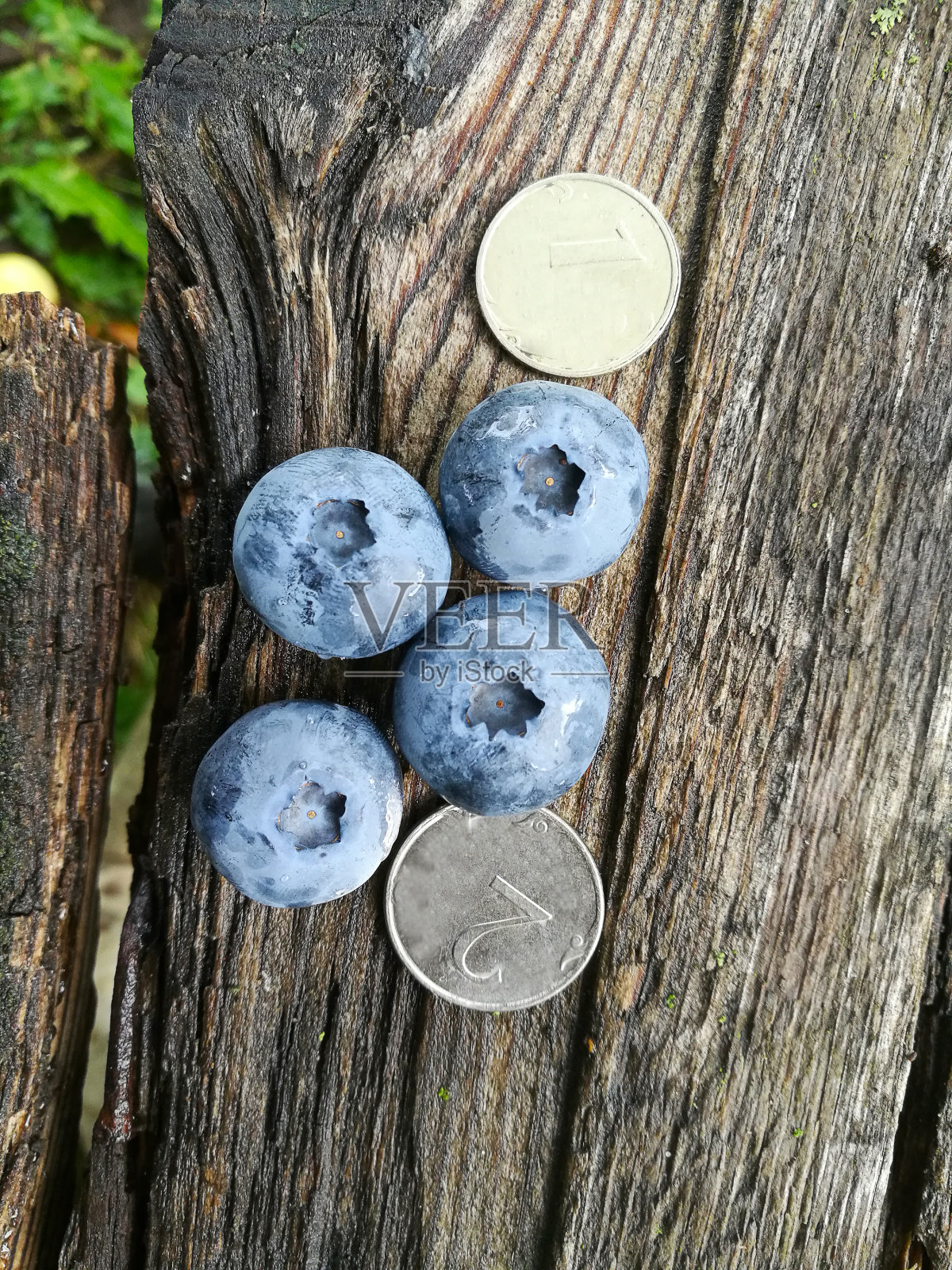 桌上放着大的蓝色成熟的花园蓝莓照片摄影图片