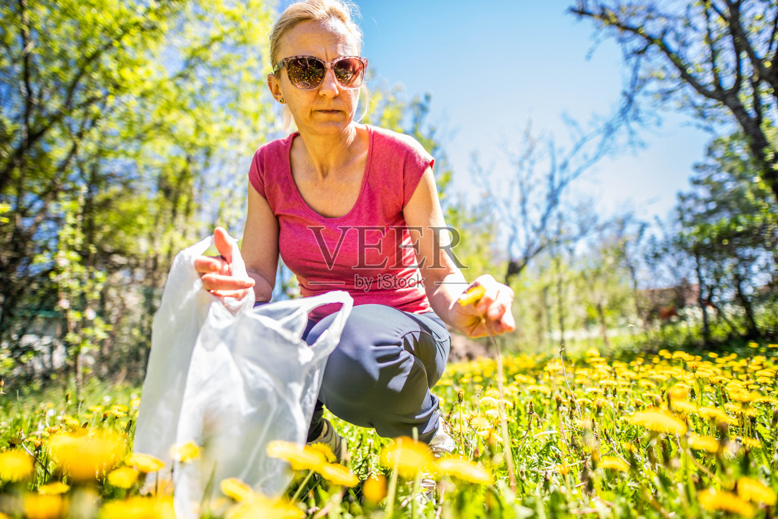 女人在她的花园里摘花照片摄影图片