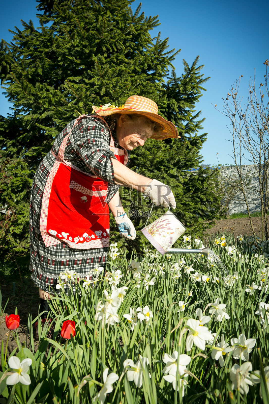迷人的老女人。照片摄影图片