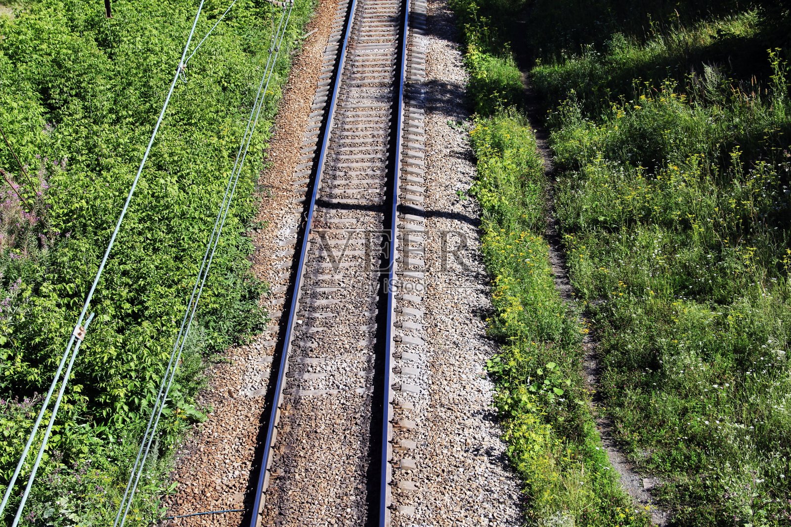 夏天火车站穿过森林照片摄影图片