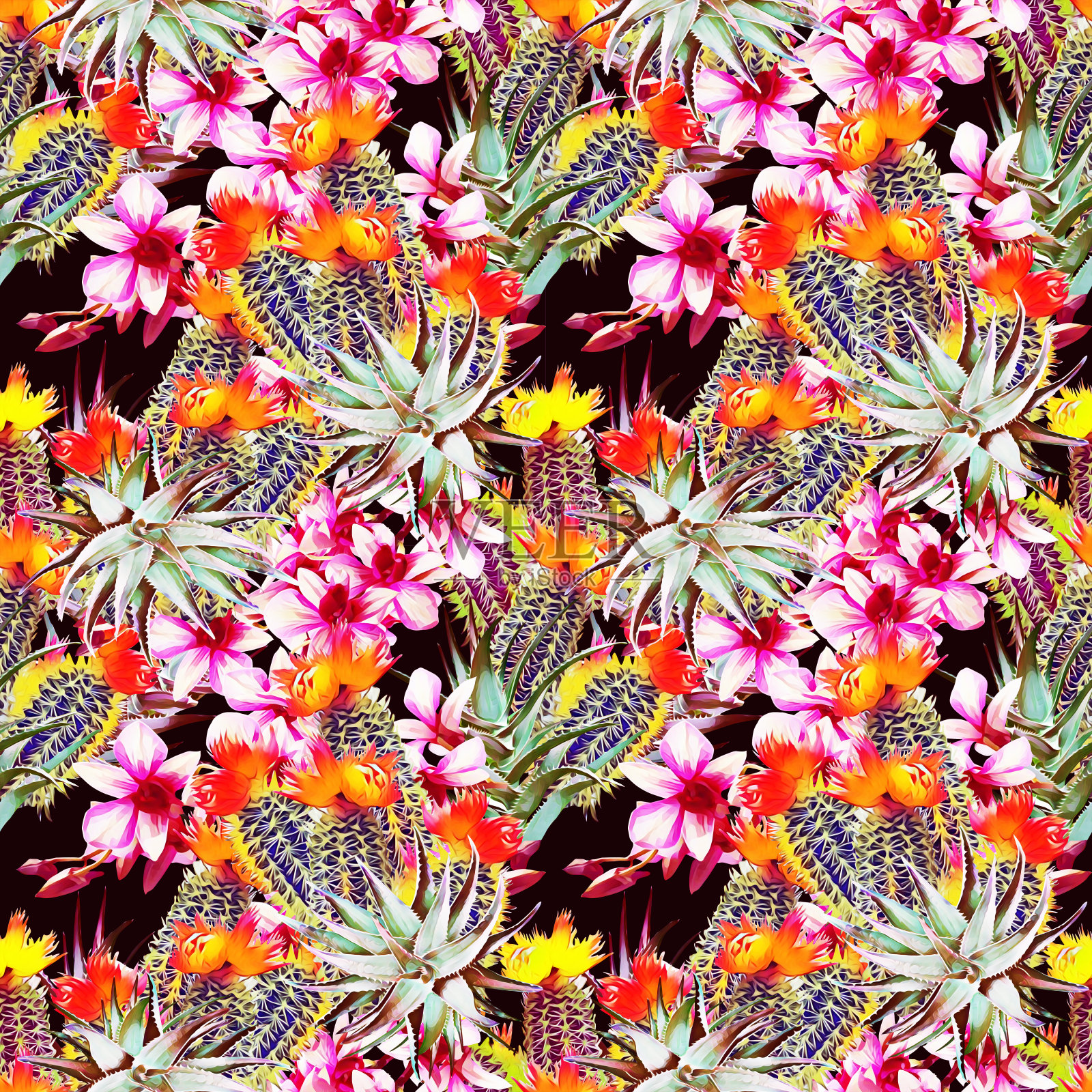 芦荟、仙人掌和兰花，花型无缝。插画图片素材